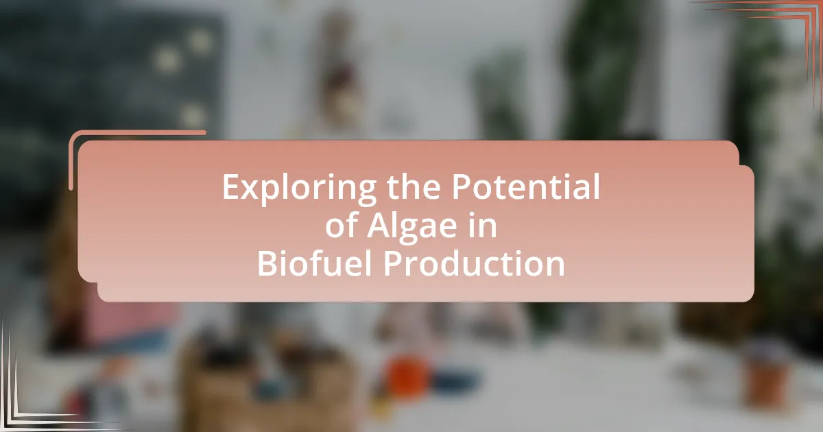 Exploring the Potential of Algae in Biofuel Production