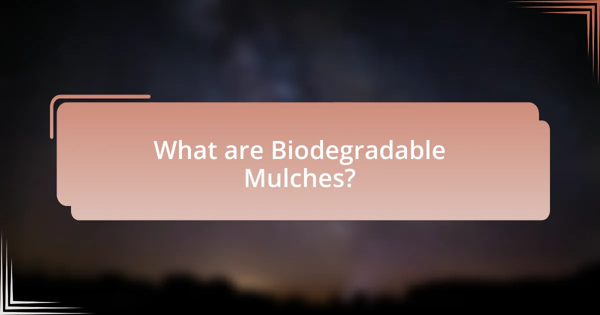 What are Biodegradable Mulches?