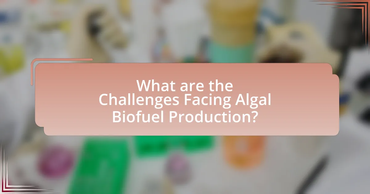 What are the Challenges Facing Algal Biofuel Production?