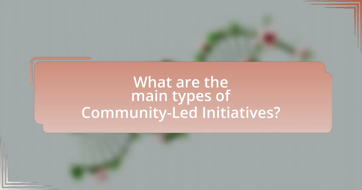 What are the main types of Community-Led Initiatives?