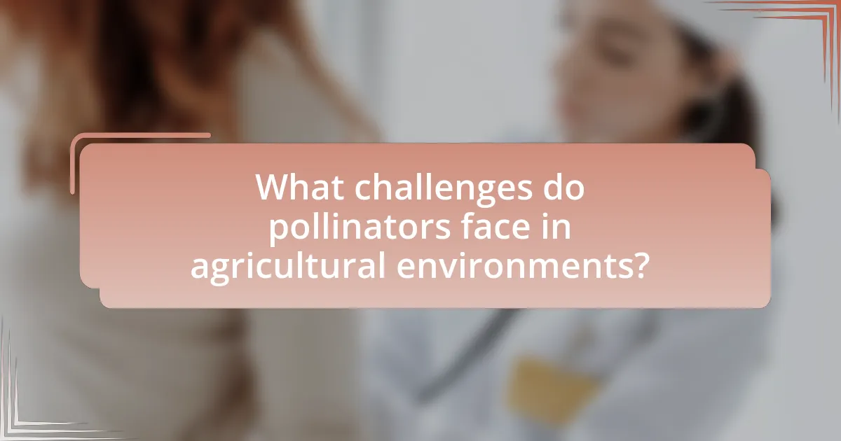 What challenges do pollinators face in agricultural environments?