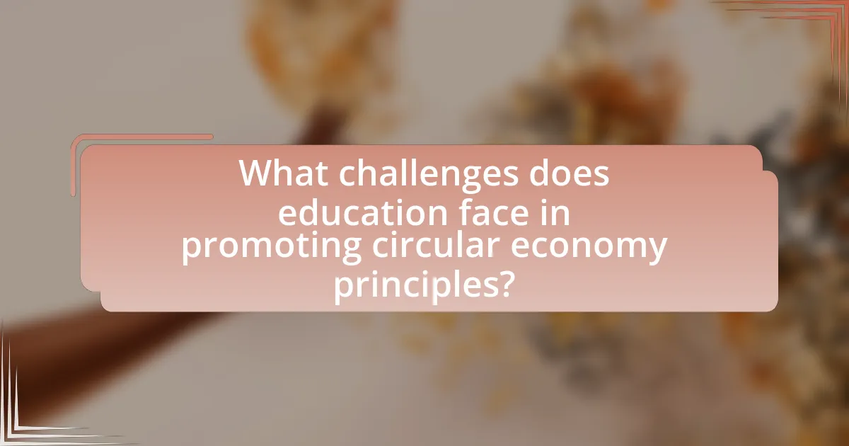 What challenges does education face in promoting circular economy principles?