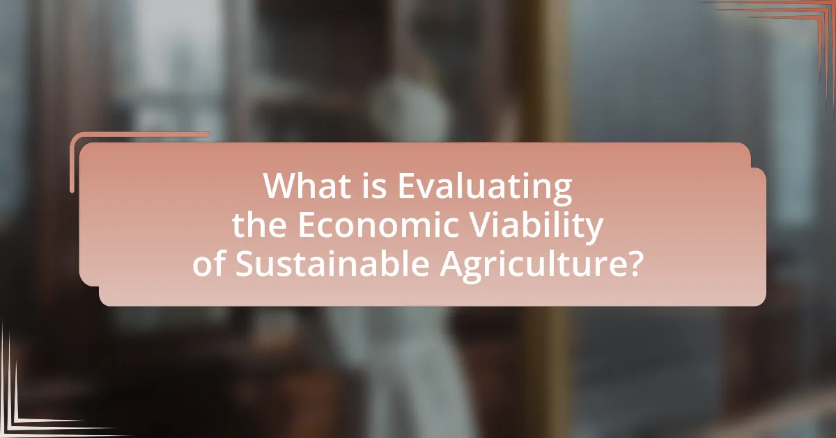What is Evaluating the Economic Viability of Sustainable Agriculture?