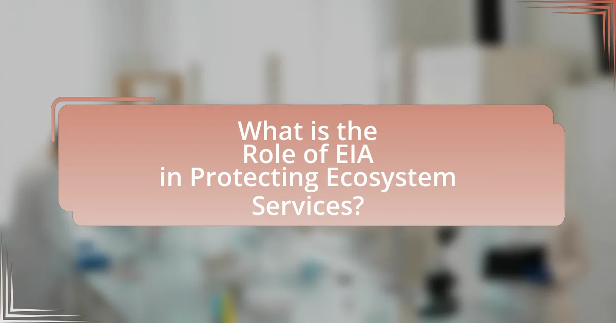 What is the Role of EIA in Protecting Ecosystem Services?
