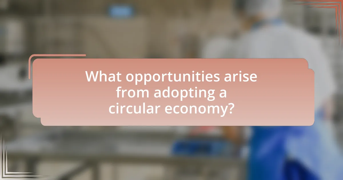 What opportunities arise from adopting a circular economy?